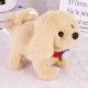 Interactive Plush Puppy Toy– Battery Operated Dog That Walks, Barks , Soft and Snuggly Fur, Stuffed Animal Robot Interactive Plush Puppy Toy– Battery Operated Dog That Walks, Barks , Soft and Snuggly Fur, Stuffed Animal Robot