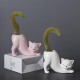 Cat Planter Plant Flower Pot Succulent Pots Succulent Planter Cat Succulent Pots with Drainage Hole Cat Tail Flower Pot Ceramic Cactus Planter Pot Cat Gifts Animal Planter Cute Cat Decor Cat Planter Plant Flower Pot Succulent Pots Succulent Planter Cat Succulent Pots with Drainage Hole Cat Tail Flower Pot Ceramic Cactus Planter Pot Cat Gifts Animal Planter Cute Cat Decor