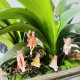 6pcs/set Resin Flower Pot Fairy Decorations for Home and Garden Beautification Transform Your Indoor and Outdoor Spaces with Elegance 6pcs/set Resin Flower Pot Fairy Decorations for Home and Garden Beautification Transform Your Indoor and Outdoor Spaces with Elegance