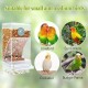 No Mess Automatic Bird Feeder,Automatic No-Spill Transparent Bird Feeder - Anti-Splash and Mess-Free Feeding Box No Mess Automatic Bird Feeder,Automatic No-Spill Transparent Bird Feeder - Anti-Splash and Mess-Free Feeding Box