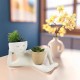Lazy Little Figure Flower Basin House Desktop Resin Sculpture Miniature Figure Flower Basin House Desktop Ornament for Office, Succulent Planter Pot Lazy Little Figure Flower Basin House Desktop Resin Sculpture Miniature Figure Flower Basin House Desktop Ornament for Office, Succulent Planter Pot
