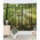 Nature Wall Tapestry Art Decor Blanket Curtain Picnic Tablecloth Hanging Home Bedroom Living Room Dorm Decoration Forest Landscape Sunshine Through Tree Nature Wall Tapestry Art Decor Blanket Curtain Picnic Tablecloth Hanging Home Bedroom Living Room Dorm Decoration Forest Landscape Sunshine Through Tree