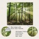 Nature Wall Tapestry Art Decor Blanket Curtain Picnic Tablecloth Hanging Home Bedroom Living Room Dorm Decoration Forest Landscape Sunshine Through Tree Nature Wall Tapestry Art Decor Blanket Curtain Picnic Tablecloth Hanging Home Bedroom Living Room Dorm Decoration Forest Landscape Sunshine Through Tree
