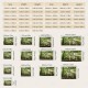 Nature Wall Tapestry Art Decor Blanket Curtain Picnic Tablecloth Hanging Home Bedroom Living Room Dorm Decoration Forest Landscape Sunshine Through Tree Nature Wall Tapestry Art Decor Blanket Curtain Picnic Tablecloth Hanging Home Bedroom Living Room Dorm Decoration Forest Landscape Sunshine Through Tree