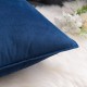 Coolest Pillows Decorative Toss Pillows Throw Pillow Cover Velvet Farmhouse Pillow Case for Bedroom Livingroom Cushion Cover Pink Blue Sage Green Purple Yellow Coolest Pillows Decorative Toss Pillows Throw Pillow Cover Velvet Farmhouse Pillow Case for Bedroom Livingroom Cushion Cover Pink Blue Sage Green Purple Yellow