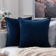 Coolest Pillows Decorative Toss Pillows Throw Pillow Cover Velvet Farmhouse Pillow Case for Bedroom Livingroom Cushion Cover Pink Blue Sage Green Purple Yellow Coolest Pillows Decorative Toss Pillows Throw Pillow Cover Velvet Farmhouse Pillow Case for Bedroom Livingroom Cushion Cover Pink Blue Sage Green Purple Yellow