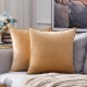 Coolest Pillows Decorative Toss Pillows Throw Pillow Cover Velvet Farmhouse Pillow Case for Bedroom Livingroom Cushion Cover Pink Blue Sage Green Purple Yellow Coolest Pillows Decorative Toss Pillows Throw Pillow Cover Velvet Farmhouse Pillow Case for Bedroom Livingroom Cushion Cover Pink Blue Sage Green Purple Yellow