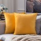 Coolest Pillows Decorative Toss Pillows Throw Pillow Cover Velvet Farmhouse Pillow Case for Bedroom Livingroom Cushion Cover Pink Blue Sage Green Purple Yellow Coolest Pillows Decorative Toss Pillows Throw Pillow Cover Velvet Farmhouse Pillow Case for Bedroom Livingroom Cushion Cover Pink Blue Sage Green Purple Yellow