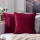 Coolest Pillows Decorative Toss Pillows Throw Pillow Cover Velvet Farmhouse Pillow Case for Bedroom Livingroom Cushion Cover Pink Blue Sage Green Purple Yellow Coolest Pillows Decorative Toss Pillows Throw Pillow Cover Velvet Farmhouse Pillow Case for Bedroom Livingroom Cushion Cover Pink Blue Sage Green Purple Yellow