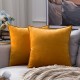 Coolest Pillows Decorative Toss Pillows Throw Pillow Cover Velvet Farmhouse Pillow Case for Bedroom Livingroom Cushion Cover Pink Blue Sage Green Purple Yellow Coolest Pillows Decorative Toss Pillows Throw Pillow Cover Velvet Farmhouse Pillow Case for Bedroom Livingroom Cushion Cover Pink Blue Sage Green Purple Yellow