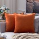 Coolest Pillows Decorative Toss Pillows Throw Pillow Cover Velvet Farmhouse Pillow Case for Bedroom Livingroom Cushion Cover Pink Blue Sage Green Purple Yellow Coolest Pillows Decorative Toss Pillows Throw Pillow Cover Velvet Farmhouse Pillow Case for Bedroom Livingroom Cushion Cover Pink Blue Sage Green Purple Yellow