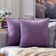 Coolest Pillows Decorative Toss Pillows Throw Pillow Cover Velvet Farmhouse Pillow Case for Bedroom Livingroom Cushion Cover Pink Blue Sage Green Purple Yellow Coolest Pillows Decorative Toss Pillows Throw Pillow Cover Velvet Farmhouse Pillow Case for Bedroom Livingroom Cushion Cover Pink Blue Sage Green Purple Yellow