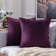 Coolest Pillows Decorative Toss Pillows Throw Pillow Cover Velvet Farmhouse Pillow Case for Bedroom Livingroom Cushion Cover Pink Blue Sage Green Purple Yellow Coolest Pillows Decorative Toss Pillows Throw Pillow Cover Velvet Farmhouse Pillow Case for Bedroom Livingroom Cushion Cover Pink Blue Sage Green Purple Yellow