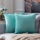 Coolest Pillows Decorative Toss Pillows Throw Pillow Cover Velvet Farmhouse Pillow Case for Bedroom Livingroom Cushion Cover Pink Blue Sage Green Purple Yellow Coolest Pillows Decorative Toss Pillows Throw Pillow Cover Velvet Farmhouse Pillow Case for Bedroom Livingroom Cushion Cover Pink Blue Sage Green Purple Yellow