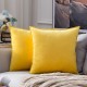Coolest Pillows Decorative Toss Pillows Throw Pillow Cover Velvet Farmhouse Pillow Case for Bedroom Livingroom Cushion Cover Pink Blue Sage Green Purple Yellow Coolest Pillows Decorative Toss Pillows Throw Pillow Cover Velvet Farmhouse Pillow Case for Bedroom Livingroom Cushion Cover Pink Blue Sage Green Purple Yellow