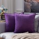 Coolest Pillows Decorative Toss Pillows Throw Pillow Cover Velvet Farmhouse Pillow Case for Bedroom Livingroom Cushion Cover Pink Blue Sage Green Purple Yellow Coolest Pillows Decorative Toss Pillows Throw Pillow Cover Velvet Farmhouse Pillow Case for Bedroom Livingroom Cushion Cover Pink Blue Sage Green Purple Yellow