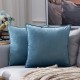 Coolest Pillows Decorative Toss Pillows Throw Pillow Cover Velvet Farmhouse Pillow Case for Bedroom Livingroom Cushion Cover Pink Blue Sage Green Purple Yellow Coolest Pillows Decorative Toss Pillows Throw Pillow Cover Velvet Farmhouse Pillow Case for Bedroom Livingroom Cushion Cover Pink Blue Sage Green Purple Yellow