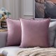 Coolest Pillows Decorative Toss Pillows Throw Pillow Cover Velvet Farmhouse Pillow Case for Bedroom Livingroom Cushion Cover Pink Blue Sage Green Purple Yellow Coolest Pillows Decorative Toss Pillows Throw Pillow Cover Velvet Farmhouse Pillow Case for Bedroom Livingroom Cushion Cover Pink Blue Sage Green Purple Yellow