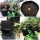 Plant Grow Bags Home Garden Potato Pot Greenhouse Vegetable Growing Bags Moisturizing Jardin Vertical Garden Bag Tools Plant Grow Bags Home Garden Potato Pot Greenhouse Vegetable Growing Bags Moisturizing Jardin Vertical Garden Bag Tools