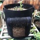 Plant Grow Bags Home Garden Potato Pot Greenhouse Vegetable Growing Bags Moisturizing Jardin Vertical Garden Bag Tools Plant Grow Bags Home Garden Potato Pot Greenhouse Vegetable Growing Bags Moisturizing Jardin Vertical Garden Bag Tools