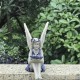Fairy Statue,Fairy Angel Crafts, Resin Garden Sculpture Butterfly Wings Flower Elf Outdoor Decoration, For Home Decor Patio Lawn