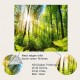 Landscape Forest Sunshine Hanging Tapestry Wall Art Large Tapestry Mural Decor Photograph Backdrop Blanket Curtain Home Bedroom Living Room Decoration Landscape Forest Sunshine Hanging Tapestry Wall Art Large Tapestry Mural Decor Photograph Backdrop Blanket Curtain Home Bedroom Living Room Decoration