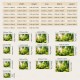 Landscape Forest Sunshine Hanging Tapestry Wall Art Large Tapestry Mural Decor Photograph Backdrop Blanket Curtain Home Bedroom Living Room Decoration Landscape Forest Sunshine Hanging Tapestry Wall Art Large Tapestry Mural Decor Photograph Backdrop Blanket Curtain Home Bedroom Living Room Decoration
