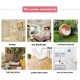 Novelty Door Mat Floor Mat Non Slip Ring of Tree 3D Trunk Wooden Log Print Area Rug Bath Mat for Indoor Outdoor Patio Bedroom Kitchen Office