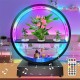 1pc LED Plant Growth Light with BT Speaker, Fish Tank, Water Scenery Decorative Lamp Desktop Ornament Suitable for Office Living Room Bedroom Restaurant Decoration 1pc LED Plant Growth Light with BT Speaker, Fish Tank, Water Scenery Decorative Lamp Desktop Ornament Suitable for Office Living Room Bedroom Restaurant Decoration