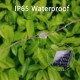 Outdoor Solar LED String Lights Wedding Decoration 10M 33ft 100 LED 8 Lighting Modes Waterproof Fairy Lights Garden Christmas Wedding Birthday Party Holiday Decoration Outdoor Solar LED String Lights Wedding Decoration 10M 33ft 100 LED 8 Lighting Modes Waterproof Fairy Lights Garden Christmas Wedding Birthday Party Holiday Decoration