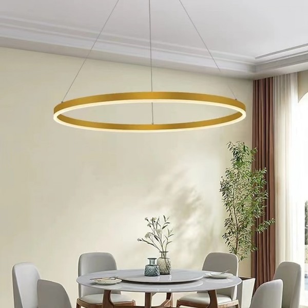 LED Pendant Light 40/60/80cm 1-Light Ring Circle Design Dimmable Aluminum Painted Finishes Luxurious Modern Style Dining Room Bedroom Pendant Lamps 110-240V ONLY DIMMABLE WITH REMOTE CONTROL LED Pendant Light 40/60/80cm 1-Light Ring Circle Design Dimmable Aluminum Painted Finishes Luxurious Modern Style Dining Room Bedroom Pendant Lamps 110-240V ONLY DIMMABLE WITH REMOTE CONTROL