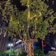 Outdoor Solar LED Meteor Shower Rain Lights Holiday String Lights Waterproof Garden Light 8 Tubes 144 Leds For Garden Tree Colorful  Decoration Landscape Lighting Outdoor Solar LED Meteor Shower Rain Lights Holiday String Lights Waterproof Garden Light 8 Tubes 144 Leds For Garden Tree Colorful  Decoration Landscape Lighting