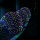LED Net String Light IP65 6Mx4M 3Mx2M Led Flexible Net Fairy String Light 880Led 200Led Mesh String Light For Garden Yard Colorful Decoration EU US UK Plug AC110V 220V 230V LED Net String Light IP65 6Mx4M 3Mx2M Led Flexible Net Fairy String Light 880Led 200Led Mesh String Light For Garden Yard Colorful Decoration EU US UK Plug AC110V 220V 230V
