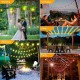 Globe String Lights Outdoor 15m 25LEDs 20Modes Patio Lights with 25 Waterproof Shatterproof RGB Color Changing Bulbs(2 Spare) G40 Globe String Lights for Outside Backyard Porch Balcony Party Decor Globe String Lights Outdoor 15m 25LEDs 20Modes Patio Lights with 25 Waterproof Shatterproof RGB Color Changing Bulbs(2 Spare) G40 Globe String Lights for Outside Backyard Porch Balcony Party Decor
