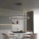 LED Pendant Light 40/60/80cm 1-Light Ring Circle Design Dimmable Aluminum Painted Finishes Luxurious Modern Style Dining Room Bedroom Pendant Lamps 110-240V ONLY DIMMABLE WITH REMOTE CONTROL LED Pendant Light 40/60/80cm 1-Light Ring Circle Design Dimmable Aluminum Painted Finishes Luxurious Modern Style Dining Room Bedroom Pendant Lamps 110-240V ONLY DIMMABLE WITH REMOTE CONTROL