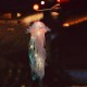 Colorful Jellyfish Lamp Decoration Lantern Modern Jellyfish Design Decorative Lantern For Party Kids Best Gifts For Girls Colorful Jellyfish Lamp Decoration Lantern Modern Jellyfish Design Decorative Lantern For Party Kids Best Gifts For Girls