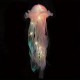 Colorful Jellyfish Lamp Decoration Lantern Modern Jellyfish Design Decorative Lantern For Party Kids Best Gifts For Girls Colorful Jellyfish Lamp Decoration Lantern Modern Jellyfish Design Decorative Lantern For Party Kids Best Gifts For Girls