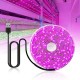 LED Grow Strip Lights USB 5V Full Spectrum Grow Light Succulent Light for Flowers and Seedlings LED Grow Strip Lights USB 5V Full Spectrum Grow Light Succulent Light for Flowers and Seedlings