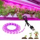 LED Grow Strip Lights USB 5V Full Spectrum Grow Light Succulent Light for Flowers and Seedlings LED Grow Strip Lights USB 5V Full Spectrum Grow Light Succulent Light for Flowers and Seedlings