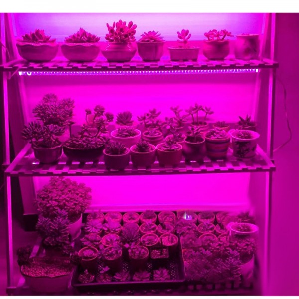 LED Grow Strip Lights USB 5V Full Spectrum Grow Light Succulent Light for Flowers and Seedlings LED Grow Strip Lights USB 5V Full Spectrum Grow Light Succulent Light for Flowers and Seedlings