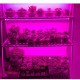 LED Grow Strip Lights USB 5V Full Spectrum Grow Light Succulent Light for Flowers and Seedlings LED Grow Strip Lights USB 5V Full Spectrum Grow Light Succulent Light for Flowers and Seedlings