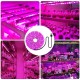 LED Grow Strip Lights USB 5V Full Spectrum Grow Light Succulent Light for Flowers and Seedlings LED Grow Strip Lights USB 5V Full Spectrum Grow Light Succulent Light for Flowers and Seedlings