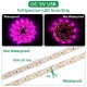 LED Grow Strip Lights USB 5V Full Spectrum Grow Light Succulent Light for Flowers and Seedlings LED Grow Strip Lights USB 5V Full Spectrum Grow Light Succulent Light for Flowers and Seedlings