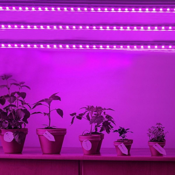 LED Grow Strip Lights USB 5V Full Spectrum Grow Light Succulent Light for Flowers and Seedlings LED Grow Strip Lights USB 5V Full Spectrum Grow Light Succulent Light for Flowers and Seedlings