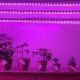 LED Grow Strip Lights USB 5V Full Spectrum Grow Light Succulent Light for Flowers and Seedlings LED Grow Strip Lights USB 5V Full Spectrum Grow Light Succulent Light for Flowers and Seedlings
