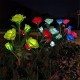 5 Head LED Solar Rose Orchid Flower Light Outdoor Garden Waterproof Simulation Lawn Lamp Wedding Party Christmas Decor Landscape Light 5 Head LED Solar Rose Orchid Flower Light Outdoor Garden Waterproof Simulation Lawn Lamp Wedding Party Christmas Decor Landscape Light