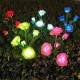 5 Head LED Solar Rose Orchid Flower Light Outdoor Garden Waterproof Simulation Lawn Lamp Wedding Party Christmas Decor Landscape Light 5 Head LED Solar Rose Orchid Flower Light Outdoor Garden Waterproof Simulation Lawn Lamp Wedding Party Christmas Decor Landscape Light