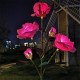 5 Head LED Solar Rose Orchid Flower Light Outdoor Garden Waterproof Simulation Lawn Lamp Wedding Party Christmas Decor Landscape Light 5 Head LED Solar Rose Orchid Flower Light Outdoor Garden Waterproof Simulation Lawn Lamp Wedding Party Christmas Decor Landscape Light