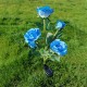 5 Head LED Solar Rose Orchid Flower Light Outdoor Garden Waterproof Simulation Lawn Lamp Wedding Party Christmas Decor Landscape Light 5 Head LED Solar Rose Orchid Flower Light Outdoor Garden Waterproof Simulation Lawn Lamp Wedding Party Christmas Decor Landscape Light