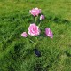 5 Head LED Solar Rose Orchid Flower Light Outdoor Garden Waterproof Simulation Lawn Lamp Wedding Party Christmas Decor Landscape Light 5 Head LED Solar Rose Orchid Flower Light Outdoor Garden Waterproof Simulation Lawn Lamp Wedding Party Christmas Decor Landscape Light